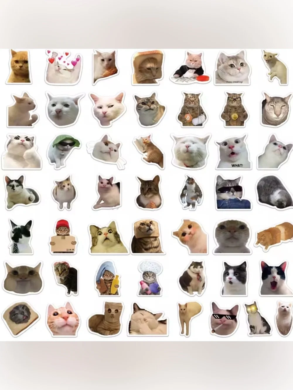 Funny Cat Meme Stickers 15 Pack Matte Vinyl Kawaii Kitty Decals